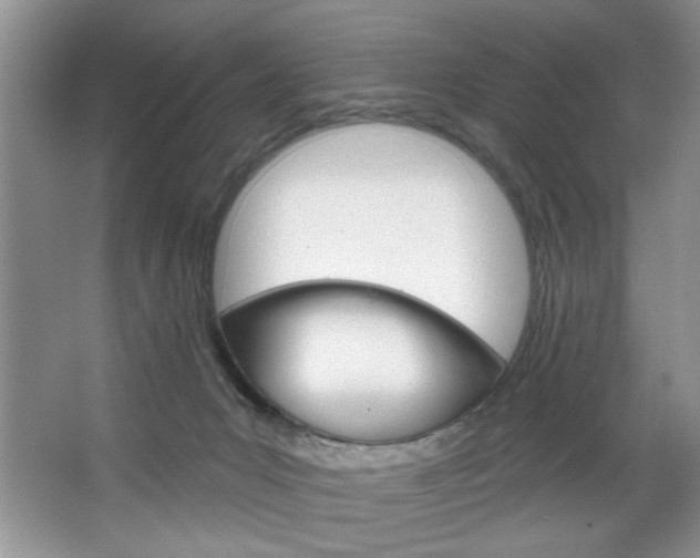 X0000067510031200604071100