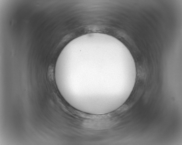 X0000067510036200604071100
