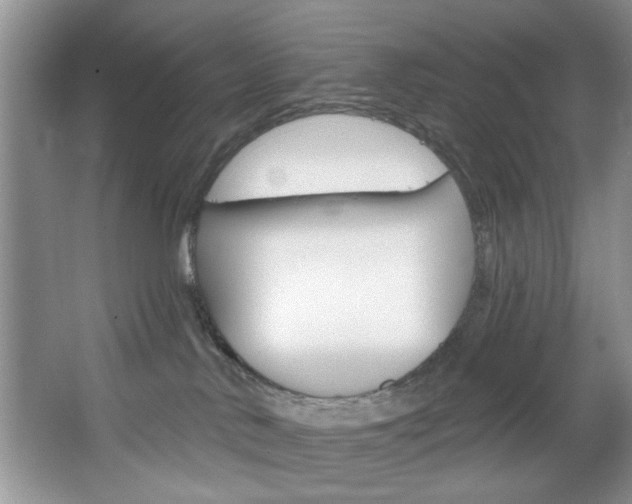 X0000067510042200604071100