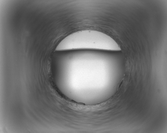 X0000067510043200604071100