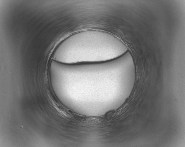 X0000067510050200604071059