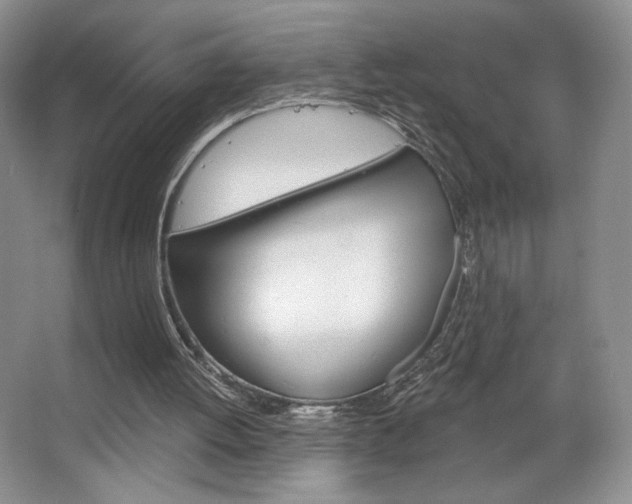 X0000067510052200604071059
