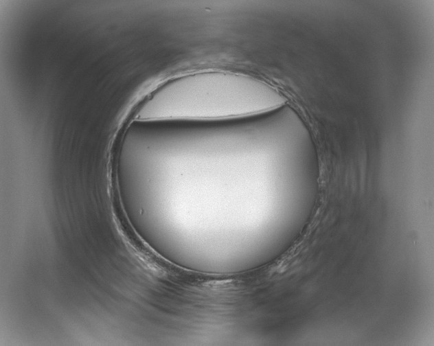 X0000067510054200604071059
