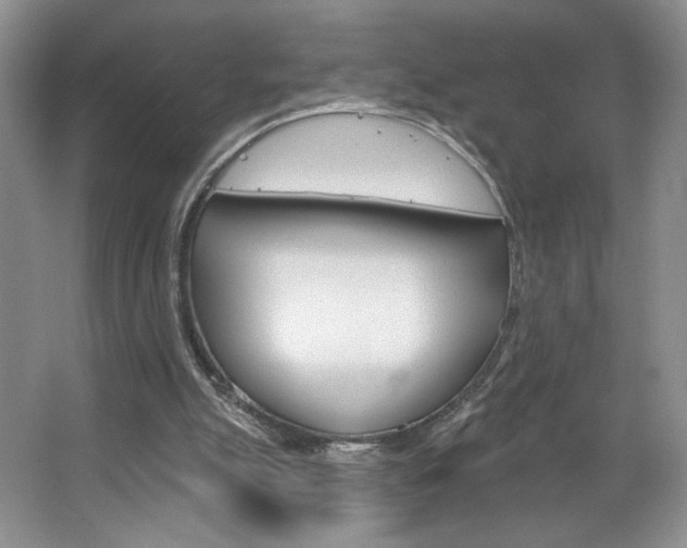 X0000067510055200604071059