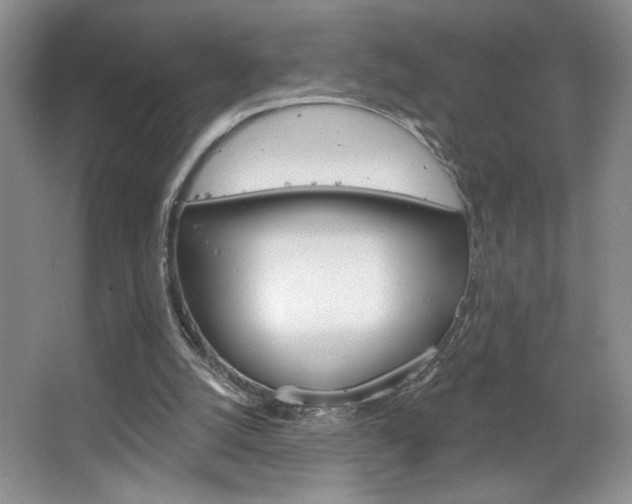 X0000067510056200604071059