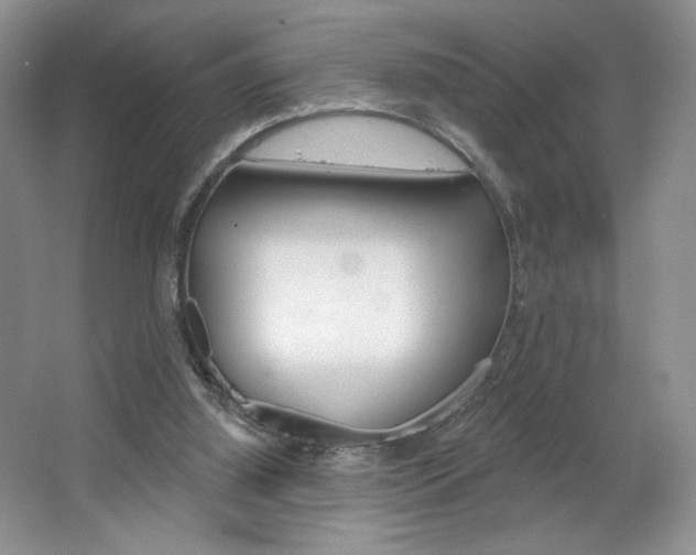 X0000067510060200604071059