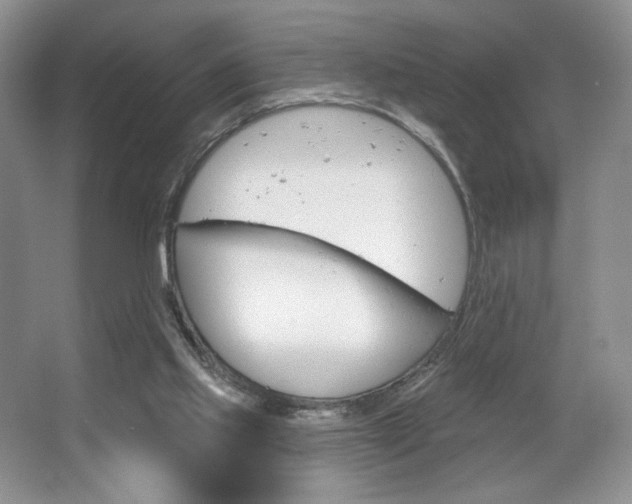 X0000067510061200604071059