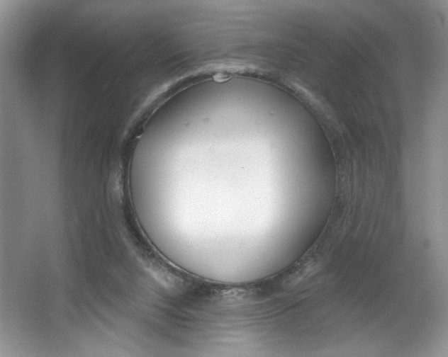 X0000067510064200604071059