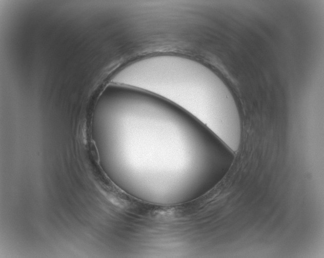 X0000067510068200604071059