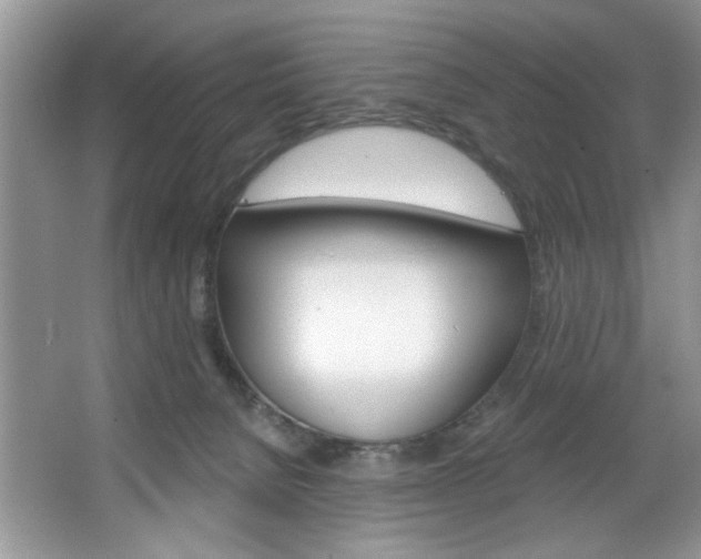 X0000067510080200604071100