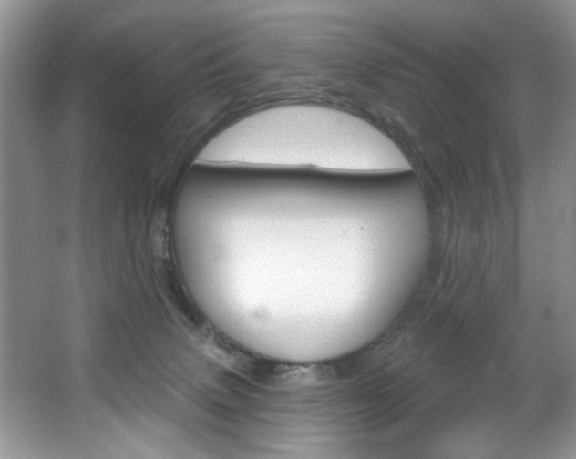 X0000067510083200604071100