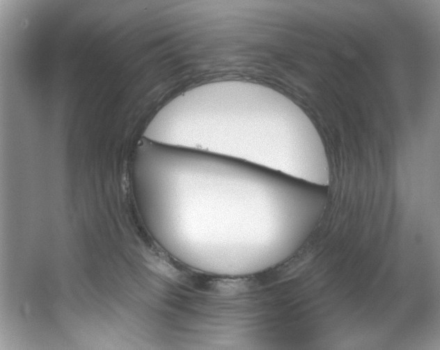 X0000067510085200604071100