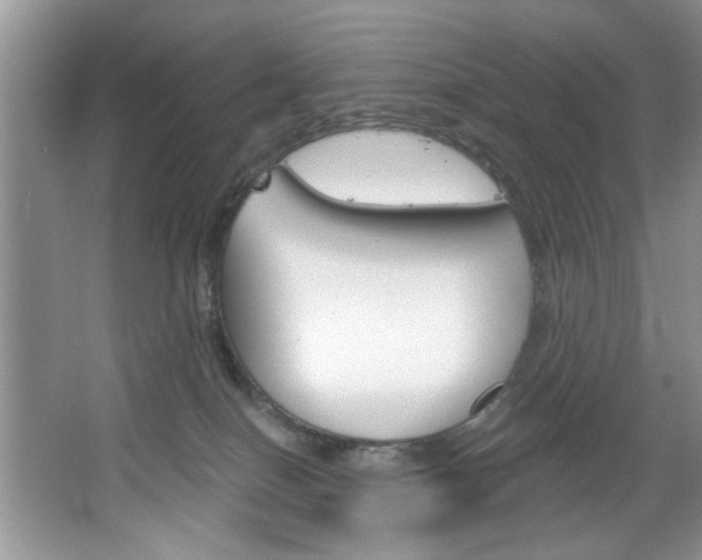 X0000067510086200604071100