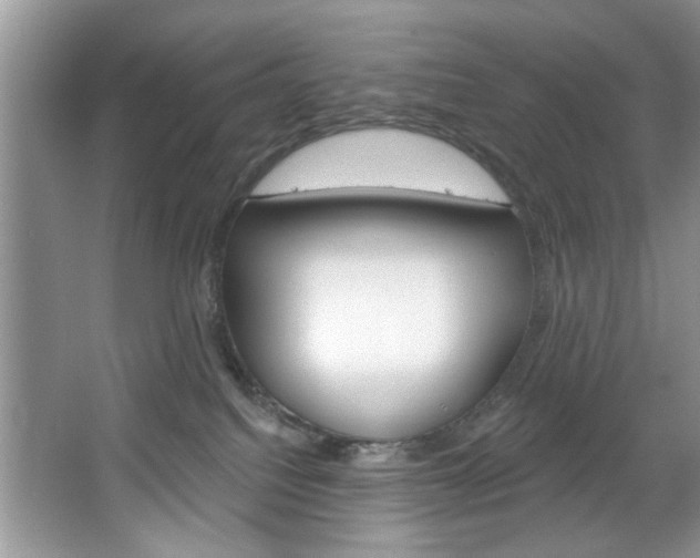 X0000067510088200604071100