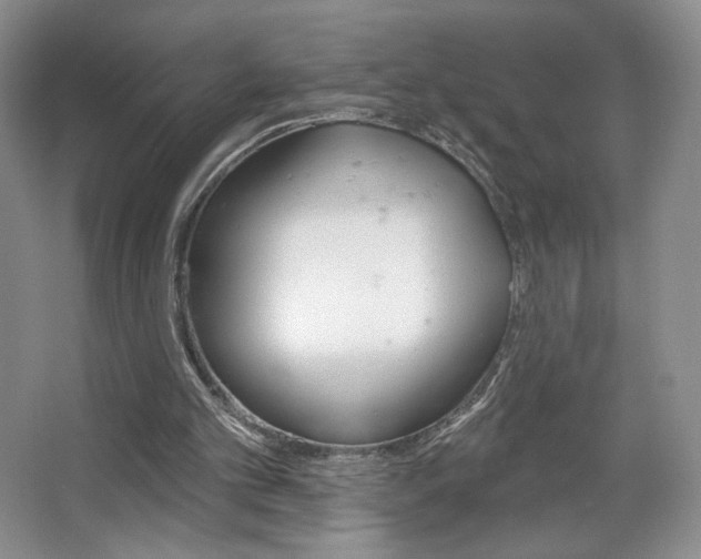 X0000067510101200604071059