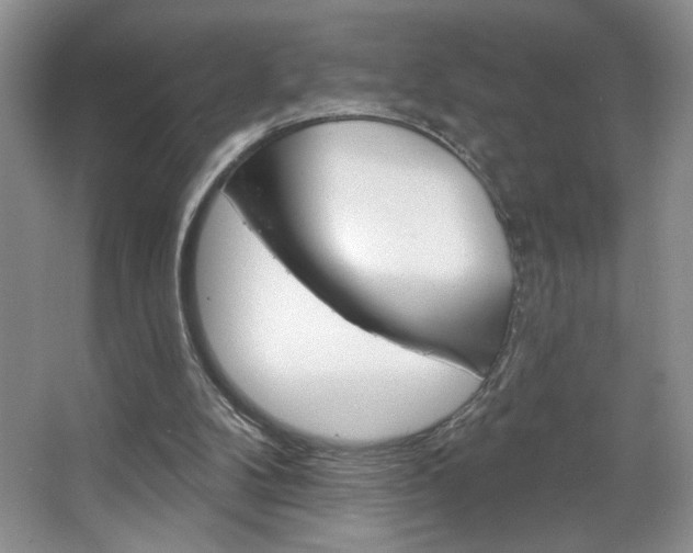 X0000067510104200604071059