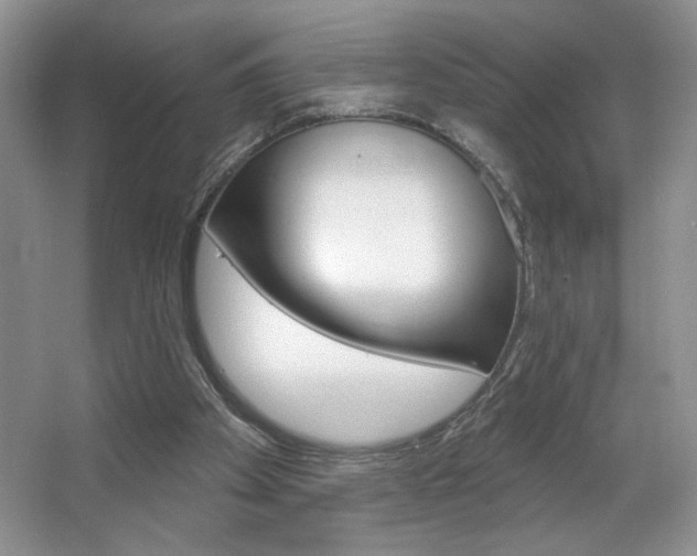 X0000067510105200604071059