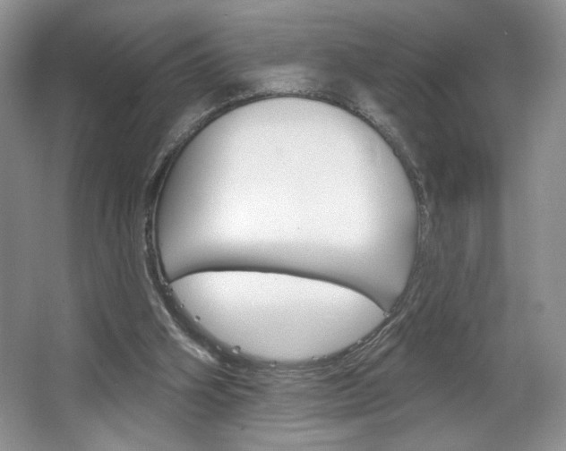 X0000067510106200604071059