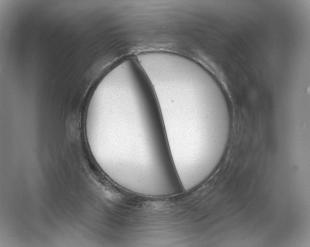 X0000067510107200604071059