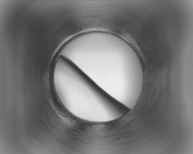 X0000067510108200604071059