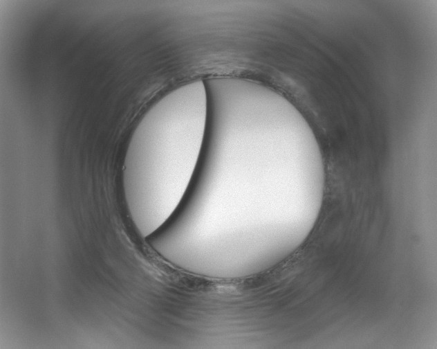 X0000067510114200604071059