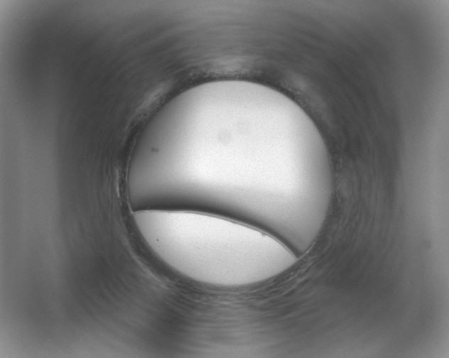 X0000067510115200604071059