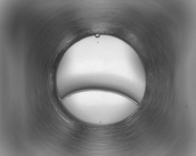 X0000067510116200604071059