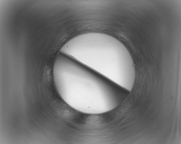 X0000067510123200604071059