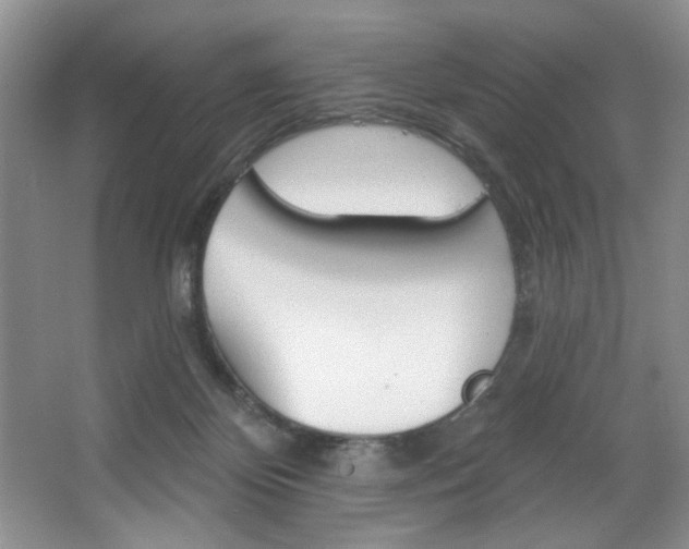 X0000067510124200604071059
