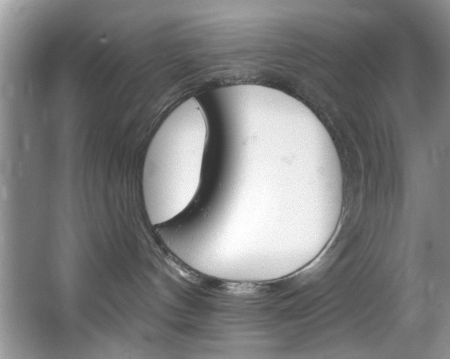 X0000067510144200604071058