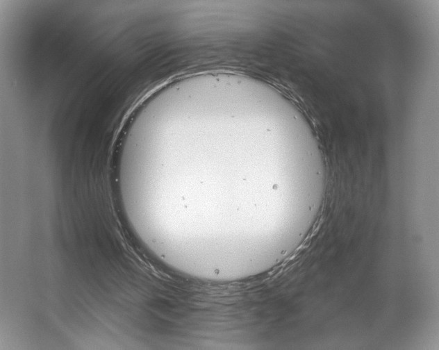 X0000067510146200604071057