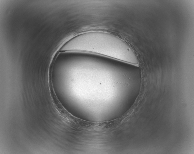 X0000067510148200604071058