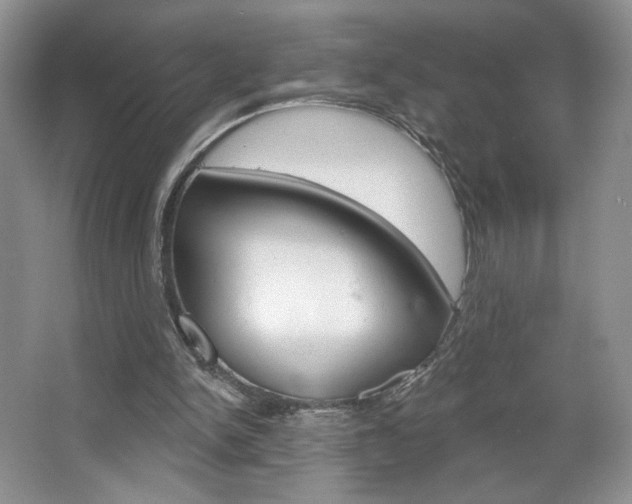 X0000067510150200604071058