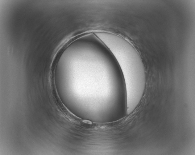 X0000067510152200604071058