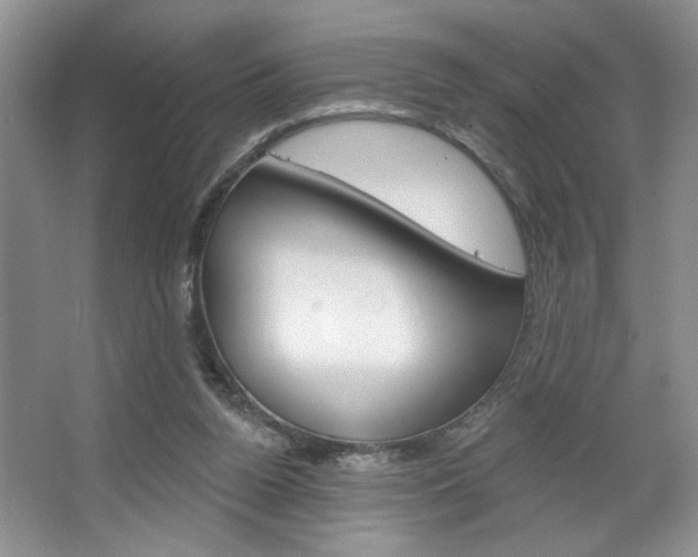 X0000067510160200604071058
