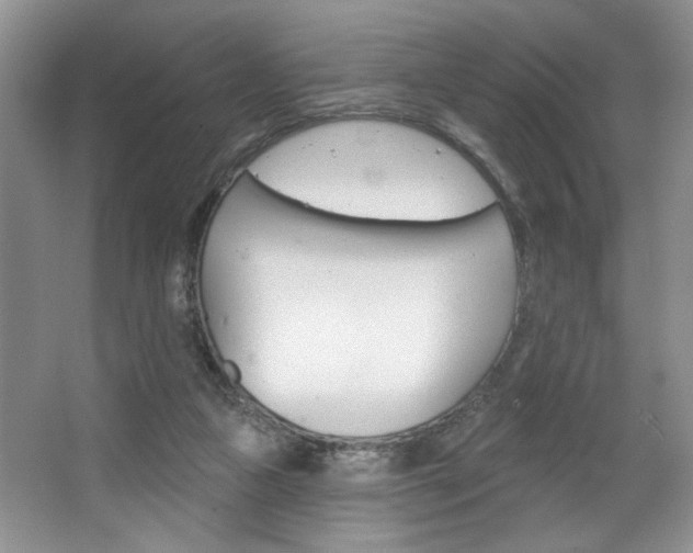 X0000067510161200604071058