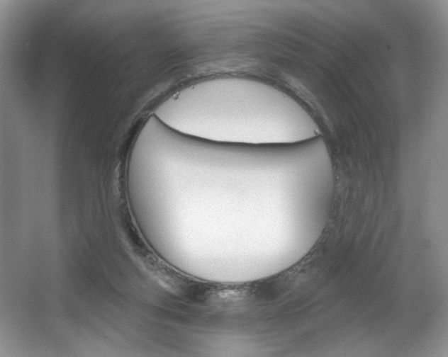 X0000067510163200604071058