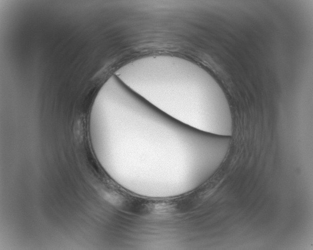 X0000067510165200604071058