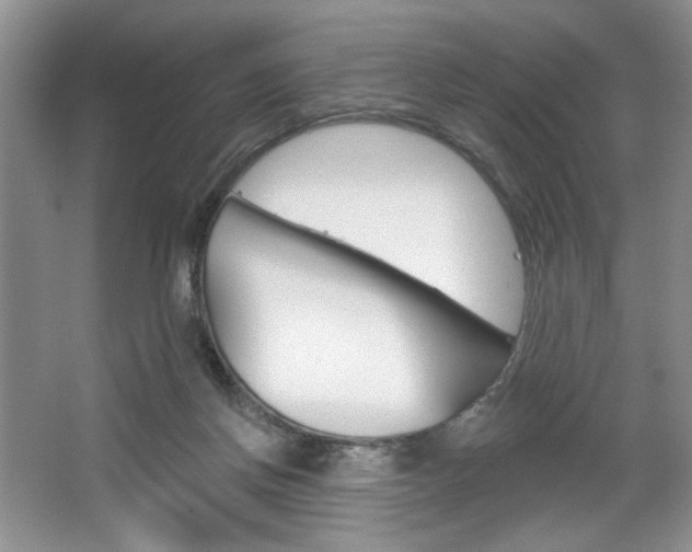 X0000067510166200604071058