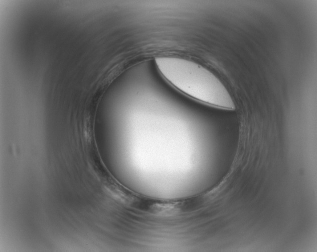 X0000067510170200604071058