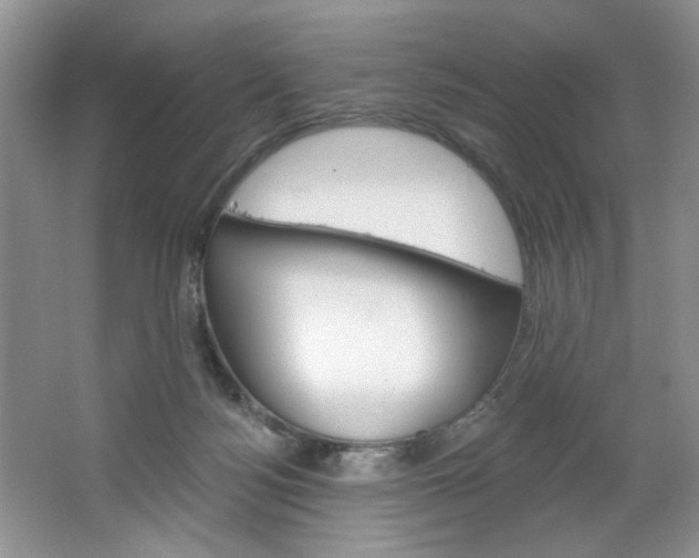 X0000067510172200604071058