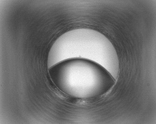 X0000067510174200604071058
