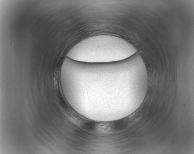 X0000067510175200604071058