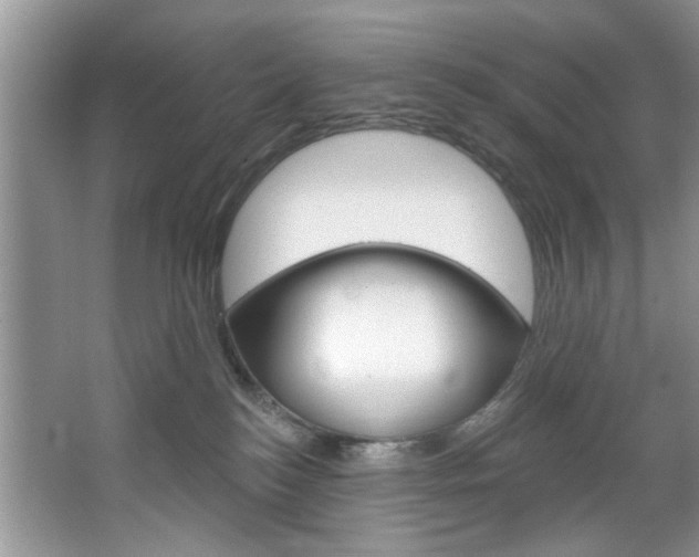 X0000067510184200604071058