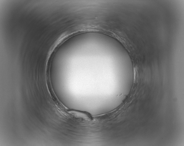 X0000067510195200604071057