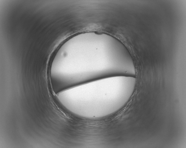 X0000067510196200604071057