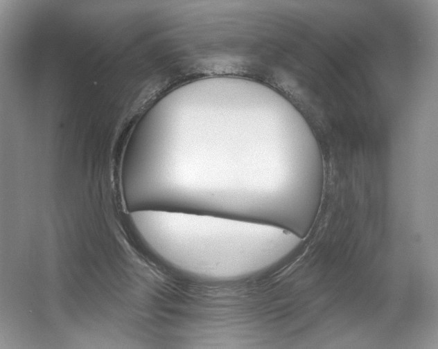X0000067510202200604071057
