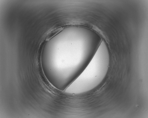 X0000067510203200604071057