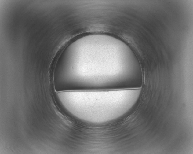 X0000067510204200604071057