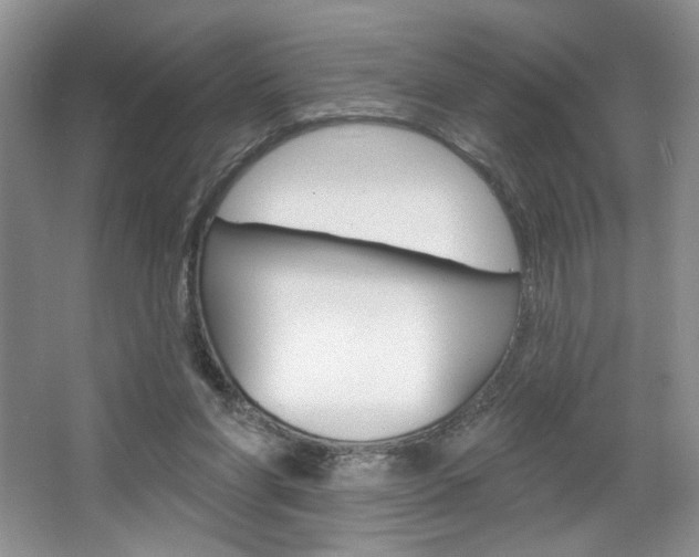 X0000067510206200604071057